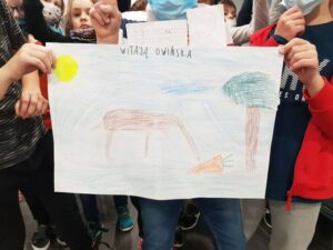 uczniowie demonstrują obrazek przedstawiający alpakę
